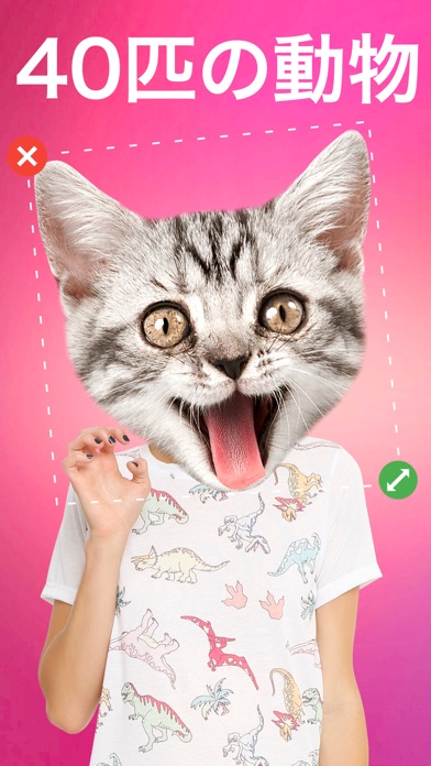 動物の顔写真編集アプリ フォトモンタージュ面白い動物の顔のステッカー Catchapp Iphoneアプリ Ipadアプリ検索