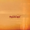 Aquascape - Sunrise in Fog