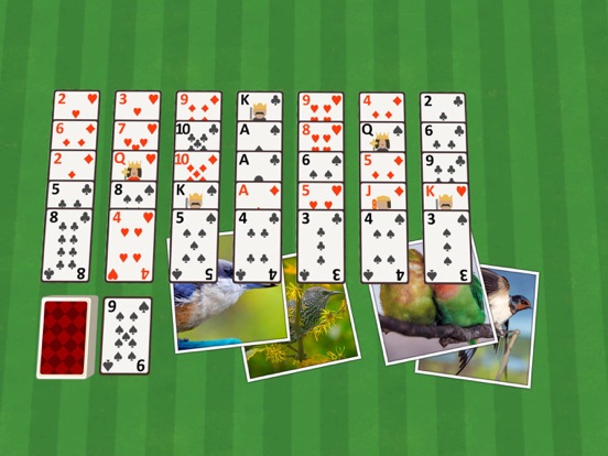 Golf Solitaire Birdsのおすすめ画像1