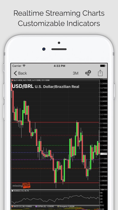 Ms forex