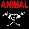 Animal Pearl Jam Tribute animal jam login 