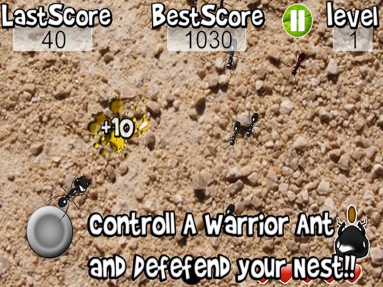 iPad Screenshot 2