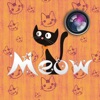 Meow Pics – 貓貼紙和相框 & 的精美相框及貼紙