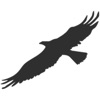 Eagle стикеров