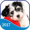 365 Dogs Page-A-Day Calendar 2017 memorial day 2017 calendar 