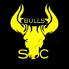 SC Bulls limousin bulls for sale 