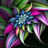 3D Flower Wallpapers HD-Quotes and Art Pictures flower pictures 