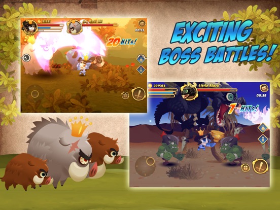 iPad Screenshot 1