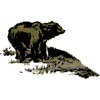 Orso Pacchetto adesivi!