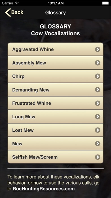 iPhone Screenshot 4