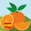 Learn Spanish With Amy for Kids - Pro edition Education