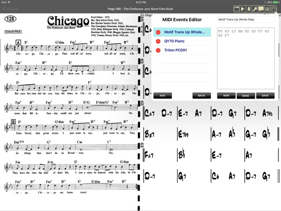 iPad Screenshot 3