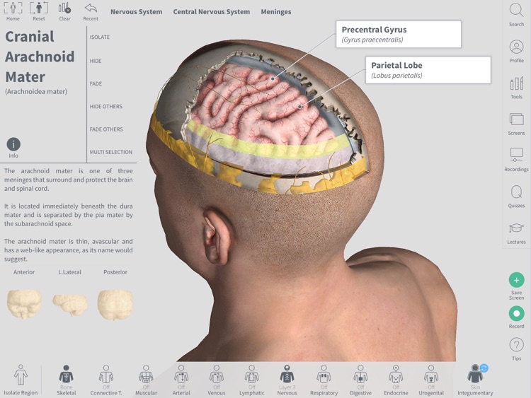 complete anatomy 19 for mac