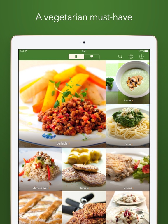 iPad Screenshot 1