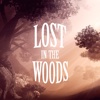 Lost in the Woods - Adventure Game