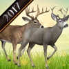 Extreme Deers Simulations 2017 simulations plus 