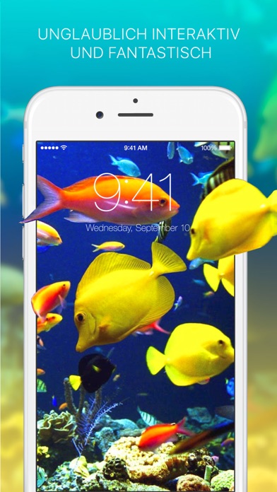 iPhone Screenshot 4