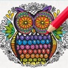 Recolor: Coloring Book Pigment For Adults dharma pigment dye 