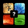 Pics Guess Quiz - Parola Imagini Rompicapi Giochi