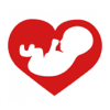Saliha Bhutta - Baby’s Beat - Pregnancy Baby Heartbeat Monitor アートワーク