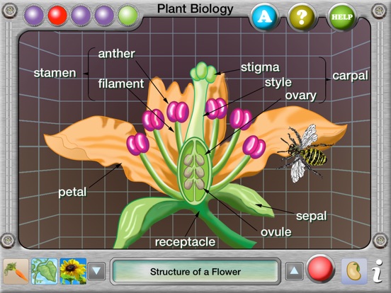 Interactive Plant Biology Explorerのおすすめ画像4