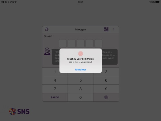 iPad schermafdruk 1