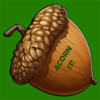 Marc Llopart - Acorn It artwork
