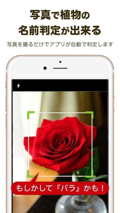 iPhone スクリーンショット 2