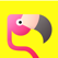 Flamingo - Make More Friends