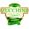 Zucchini recipes for zucchini 