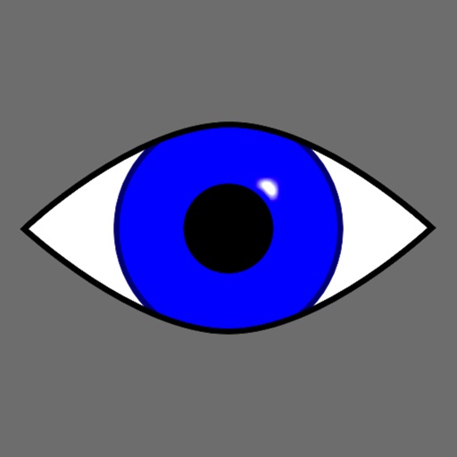 Visuallusion app icon图