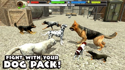 stray dog simulator games free