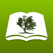 Bible by Olive Tree