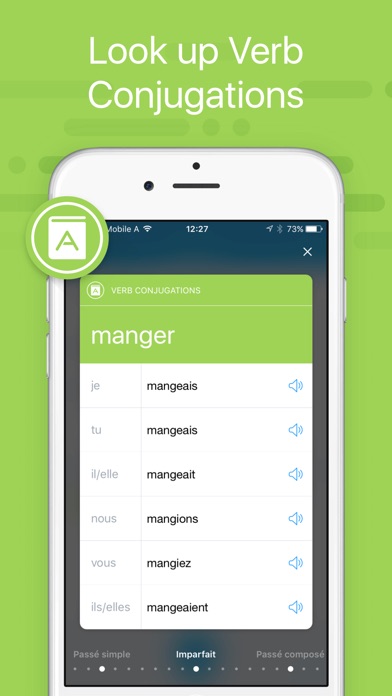 iTranslate - Language Translator & Dictionary Screenshot 5