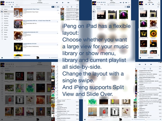 iPad Screenshot 3