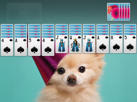 ⋆Spider Solitaire для iPad