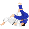 Judo Simplified!
