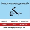 Hundekrankengymnastik Steps