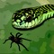 Tarantula vs Snake