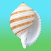 Shells! itunes store 