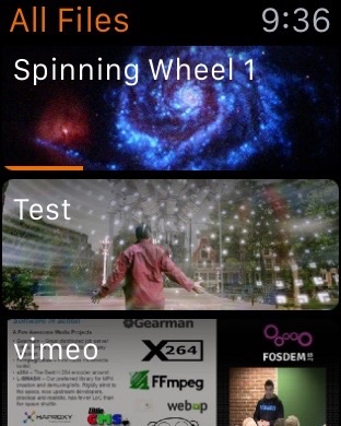 iPhone Screenshot 1