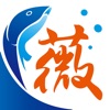薇師傅:海鮮食材線上首選
