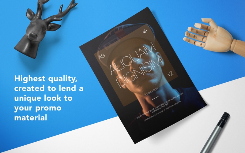 DesiGN_Posters_Templates.app caprure 3 3_DesiGN_Posters_Templates.jpg