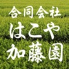 お茶(緑茶や粉末茶等)の通販|埼玉県入間市の【はこや加藤園】