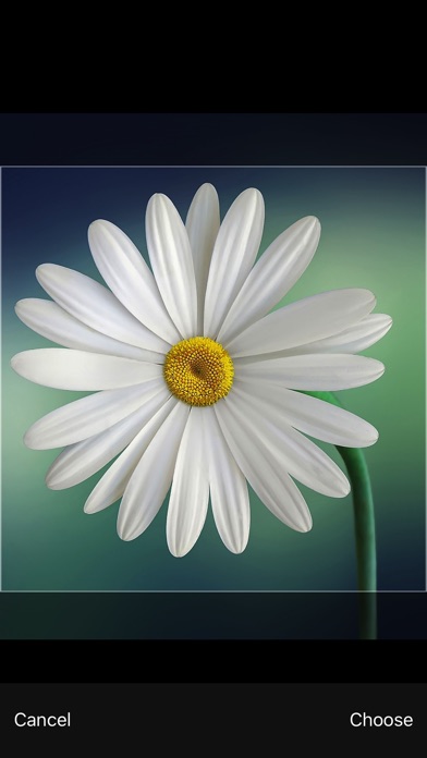 ss1