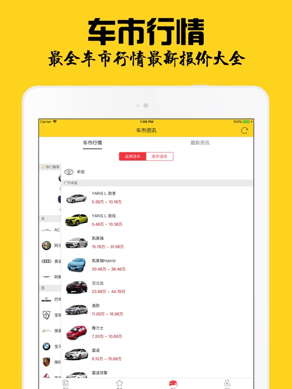 iPad 屏幕截图 4
