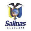 Ciudad de Salinas demographics by city 