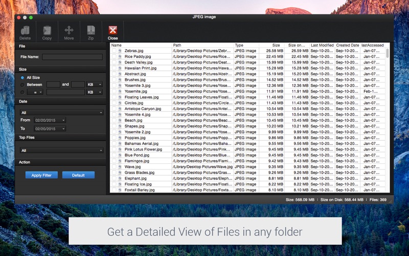 Disk_Analyzer_Pro.app caprure 4 4_Disk_Analyzer_Pro.jpg
