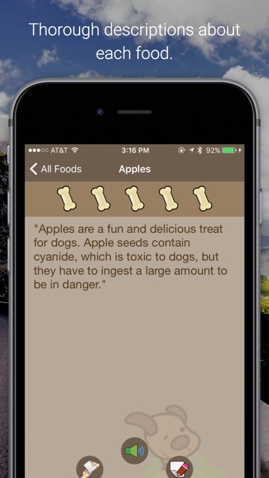 iPhone Screenshot 2