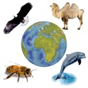Sounds of Fauna - Game for learning animal sounds with custom lists icon